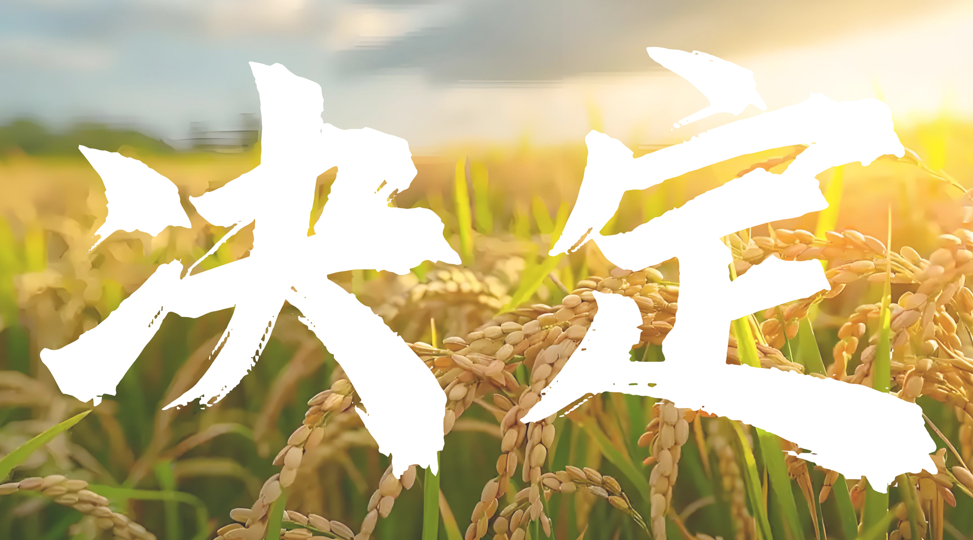官方解读：农药登记、生产许可、经营许可等最新政策